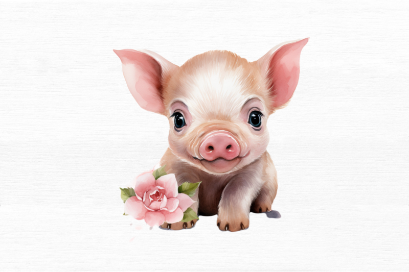 cute-little-pig-watercolor-clipart