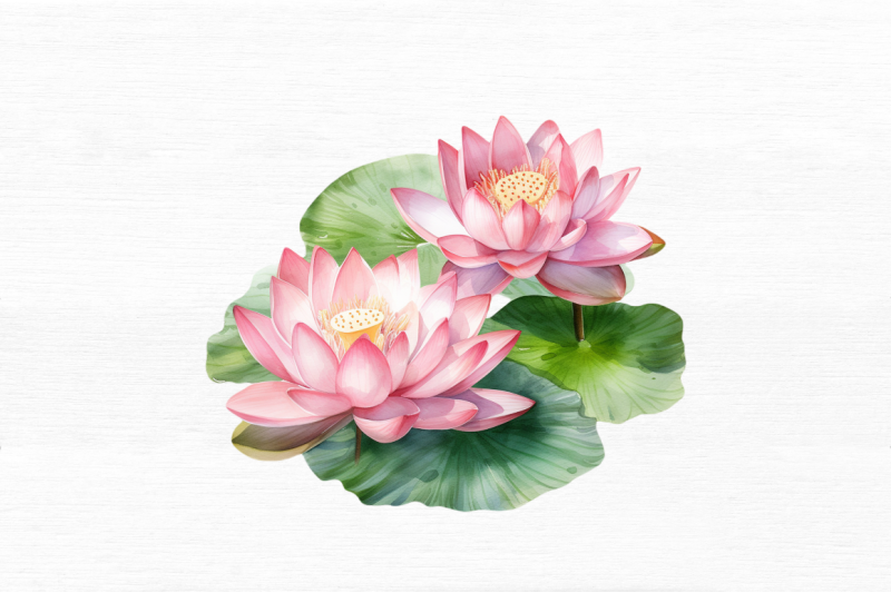 lotus-flowers-watercolor-sublimation