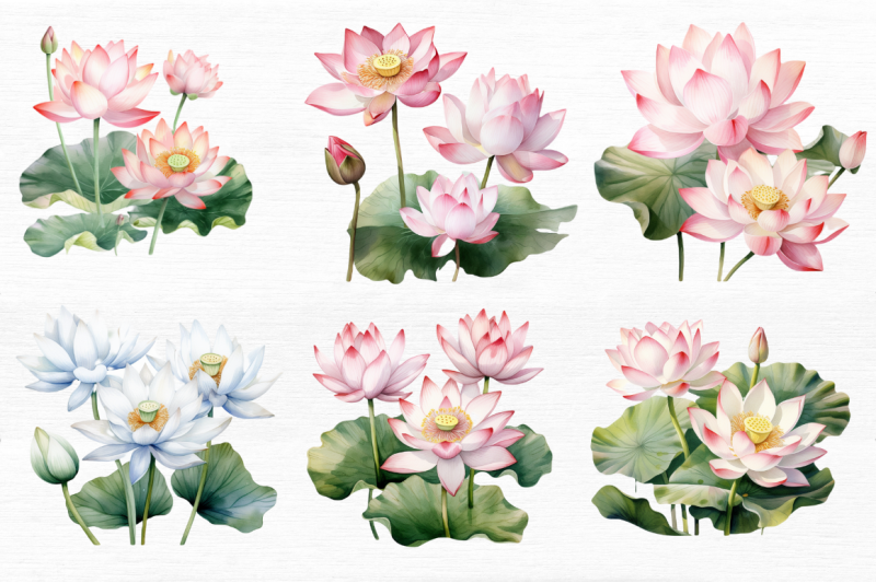 lotus-flowers-watercolor-sublimation