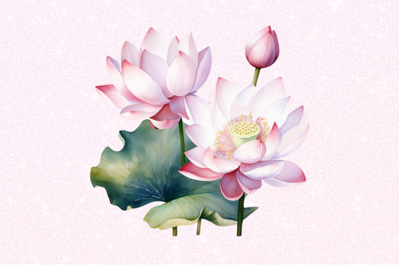 lotus-flowers-watercolor-sublimation