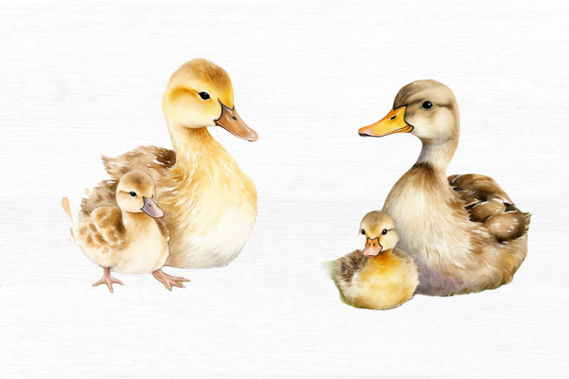 mother-and-baby-duck-watercolor-bundles