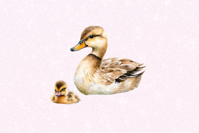 mother-and-baby-duck-watercolor-bundles