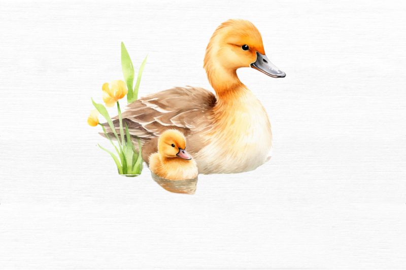 mother-and-baby-duck-watercolor-bundles