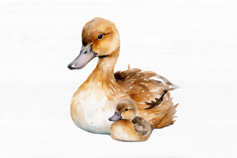 mother-and-baby-duck-watercolor-bundles