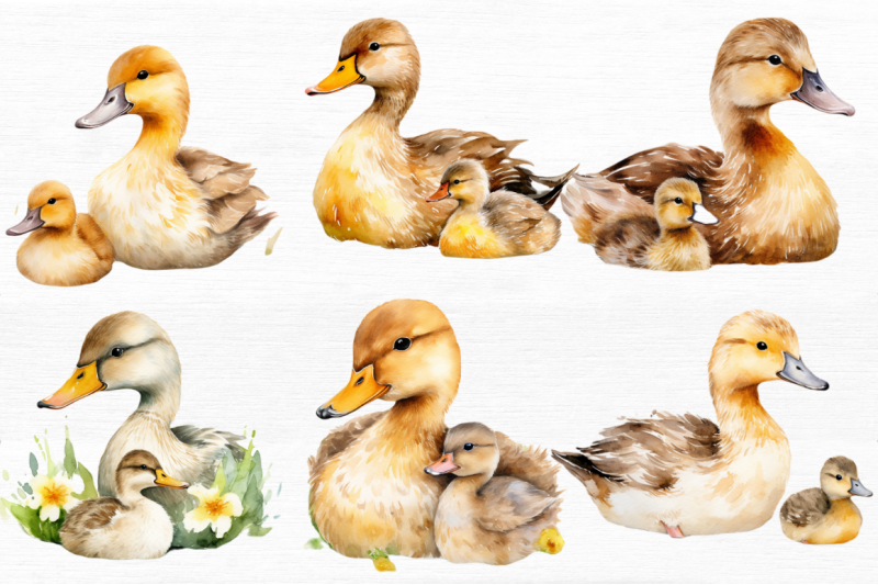 mother-and-baby-duck-watercolor-bundles