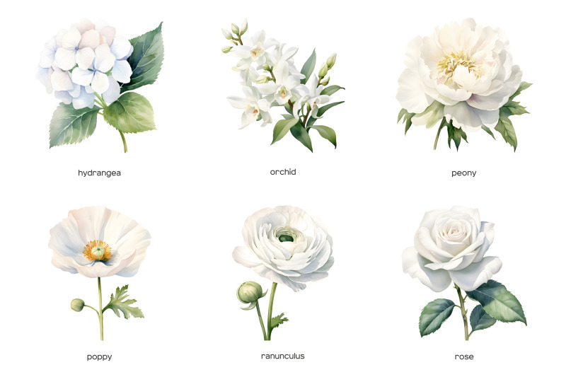 watercolor-white-wedding-flowers-clipart-pastel-white-flower-clip-art