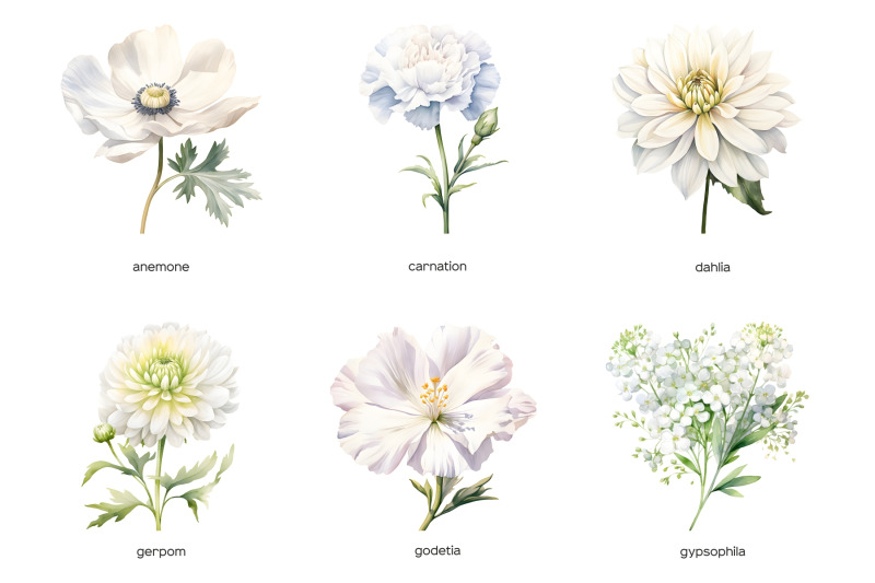 watercolor-white-wedding-flowers-clipart-pastel-white-flower-clip-art