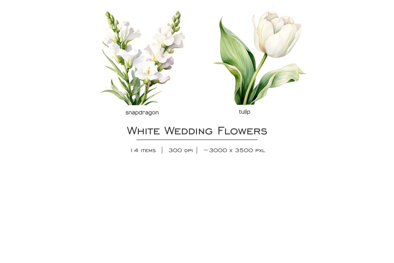 watercolor-white-wedding-flowers-clipart-pastel-white-flower-clip-art