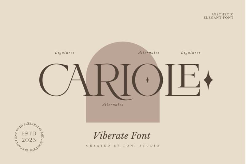 viberate-ligature-typeface