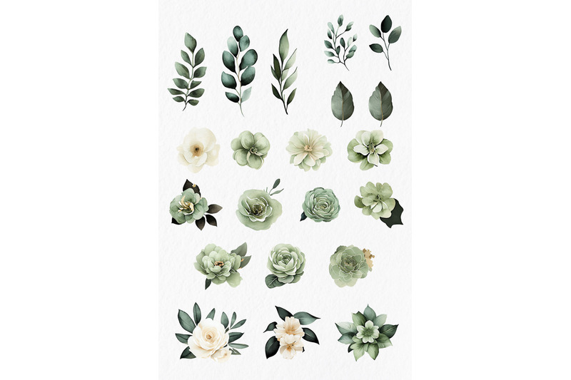 sage-green-ivory-flowers-watercolor-clipart-png