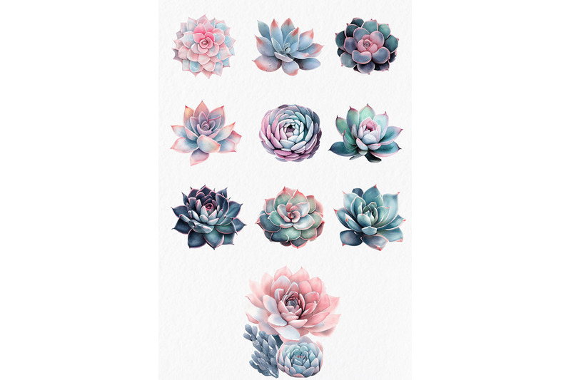 coral-amp-blue-succulents-watercolor-clipart-png