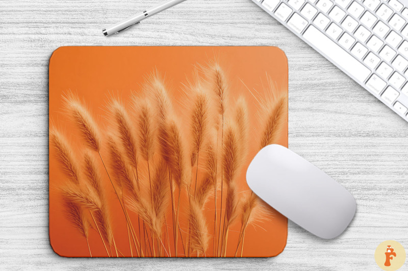 pampas-grass-on-soft-orange-background