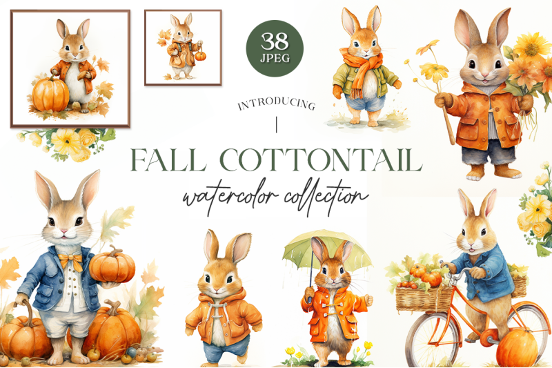fall-cottontail