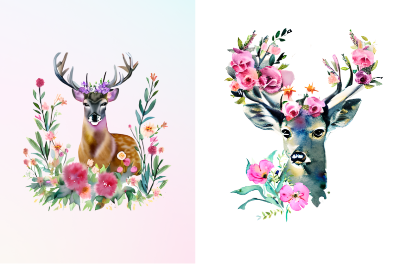 deer-boho-floral-watercolor-sublimation-bundle