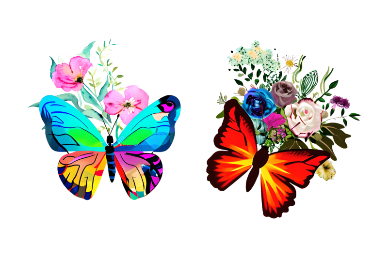 watercolor-groovy-butterflies-floral-sublimation-bundle