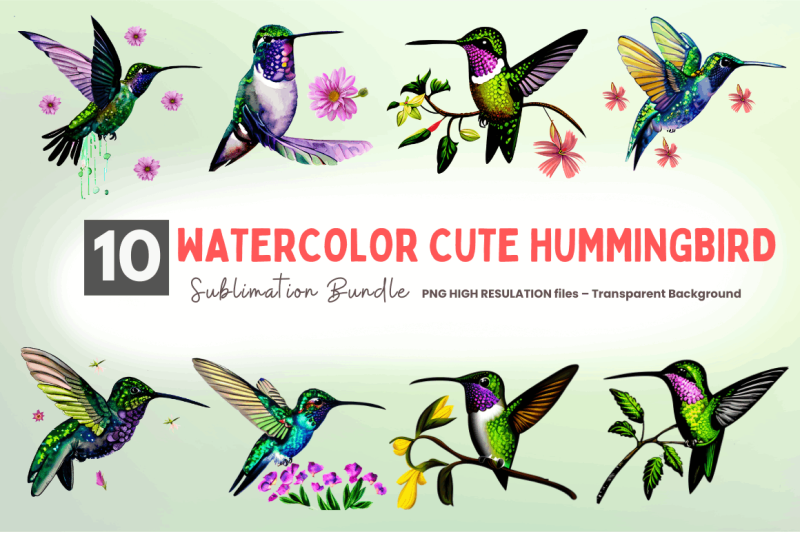 watercolor-cute-hummingbird-clipart-bundle