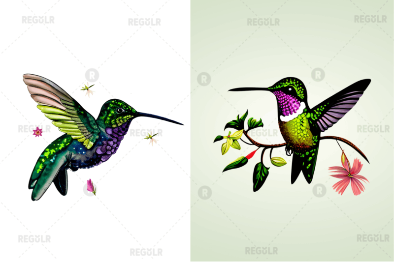 watercolor-cute-hummingbird-clipart-bundle