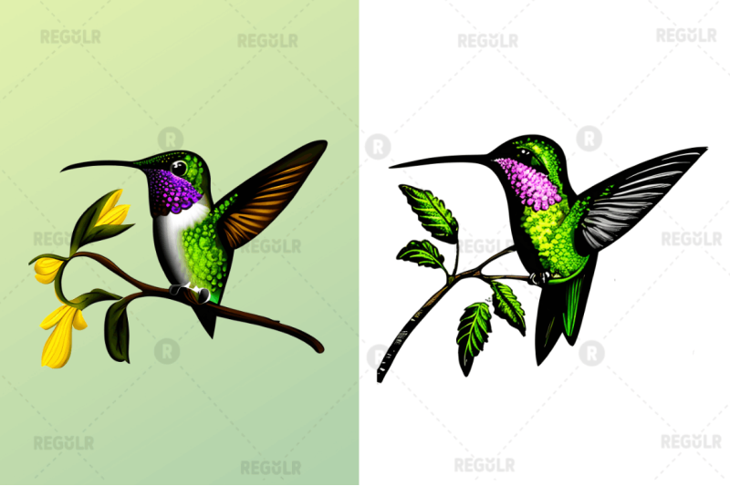 watercolor-cute-hummingbird-clipart-bundle