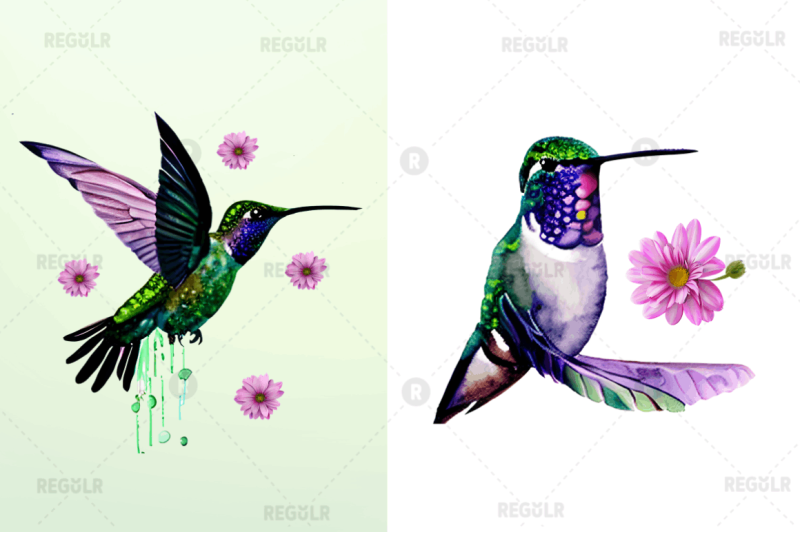 watercolor-cute-hummingbird-clipart-bundle