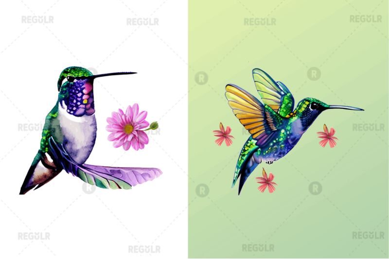 watercolor-cute-hummingbird-clipart-bundle