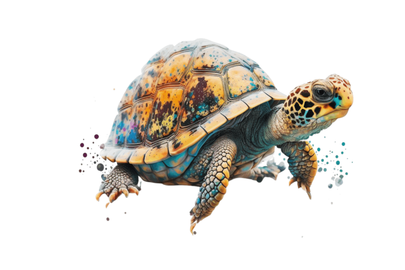 watercolor-cute-turtle-sublimation-clipart-bundle