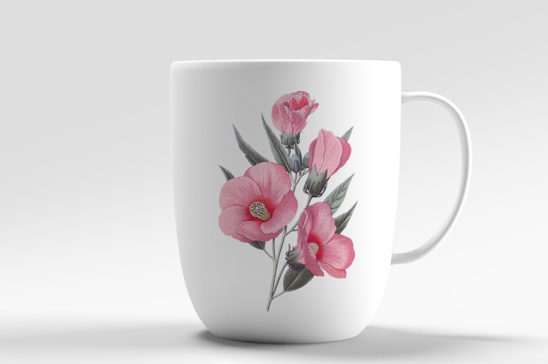 hibiscus-rose-vintage-watercolor-flowers
