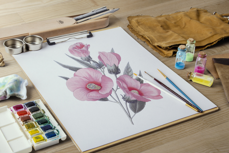 hibiscus-rose-vintage-watercolor-flowers