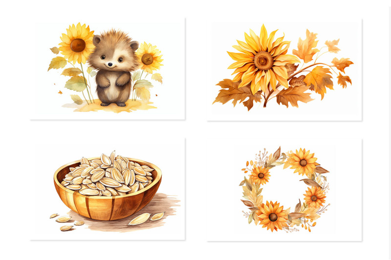 sunflower-autumn