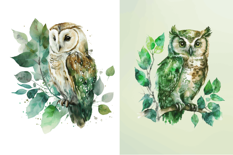 watercolor-owl-sublimation-clipart-bundle