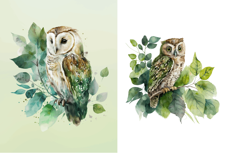 watercolor-owl-sublimation-clipart-bundle