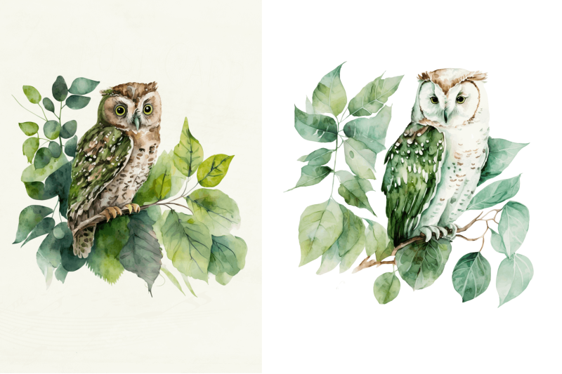 watercolor-owl-sublimation-clipart-bundle
