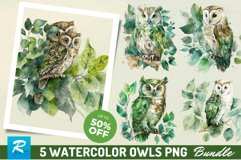 watercolor-owl-sublimation-clipart-bundle