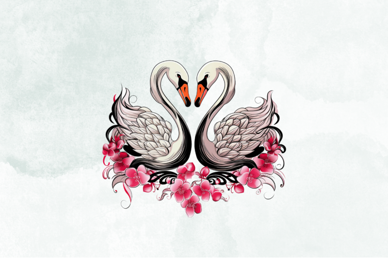 valentine-039-s-day-swan-couple-clipart