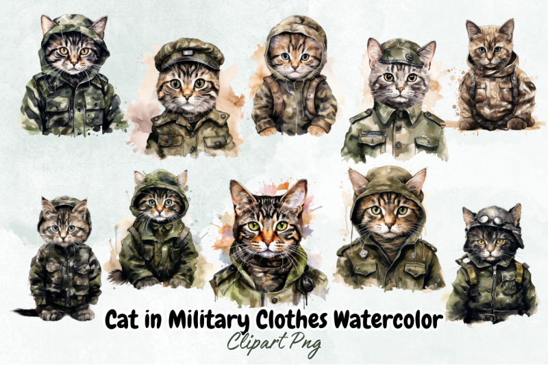 cat-in-military-clothes-watercolor