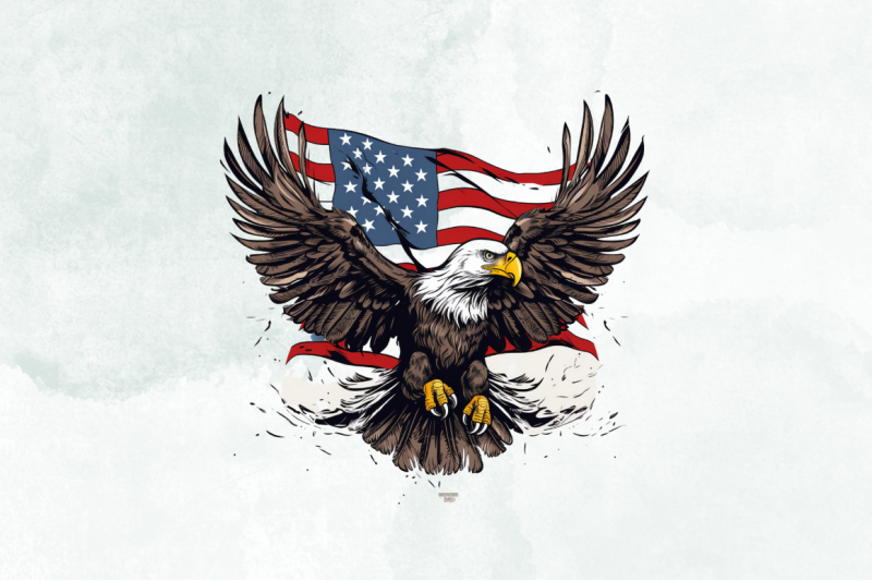 american-flag-eagle-wings-sublimation