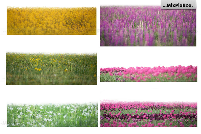 flowers-and-grass-overlays