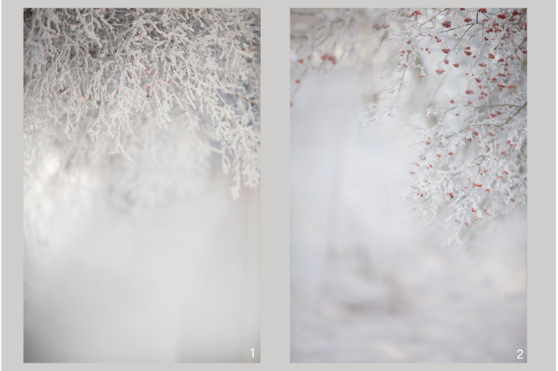 winter-portrait-backgrounds