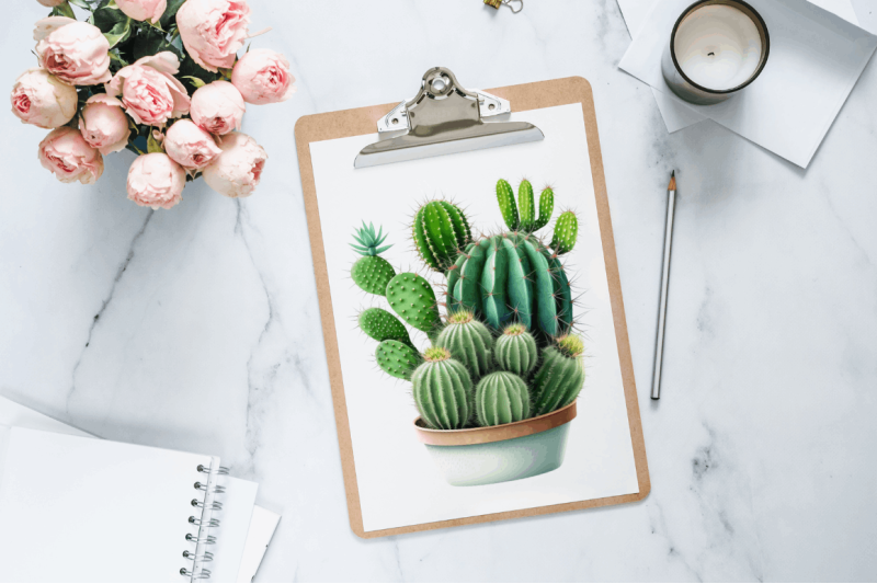 watercolor-cactus-clipart-bundle