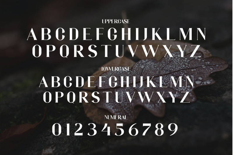 hilond-modern-serif-typeface