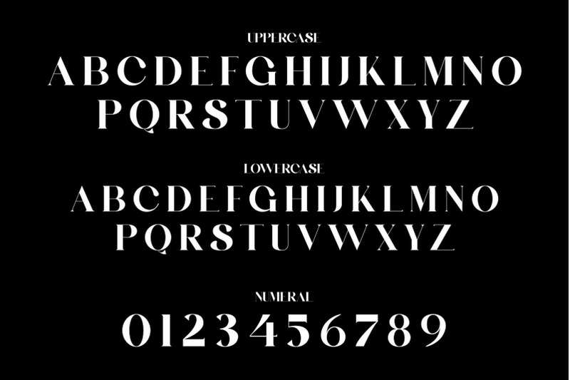 belingham-elegant-serif-typeface