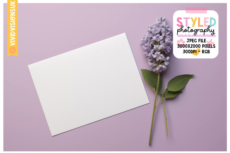 lavender-elegance-4-high-quality-blank-card-images-creative-projects