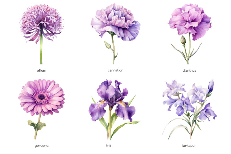 watercolor-purple-wedding-flowers-clipart-pastel-purple-flower-clip-art-purple-color-plants-collection-purple-floral-wedding-watercolor-set