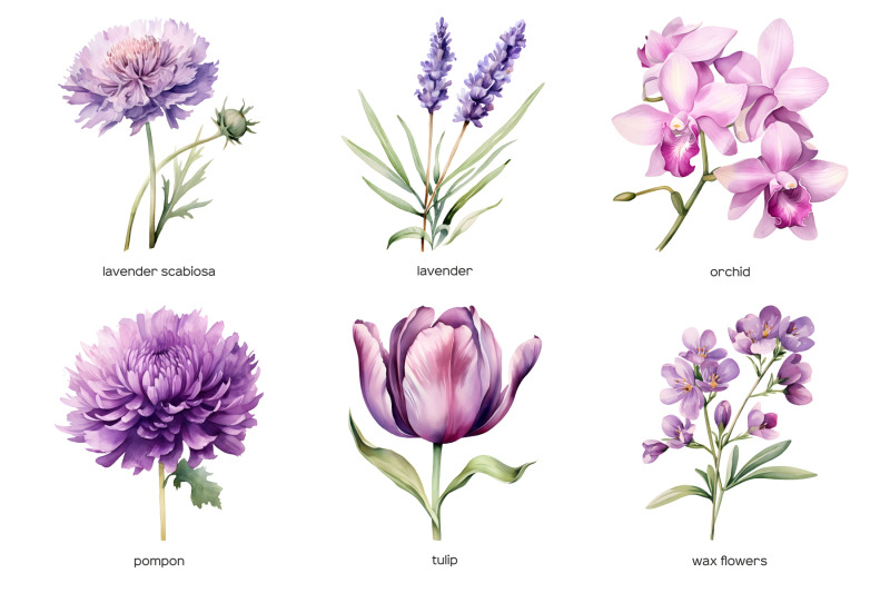 watercolor-purple-wedding-flowers-clipart-pastel-purple-flower-clip-art-purple-color-plants-collection-purple-floral-wedding-watercolor-set