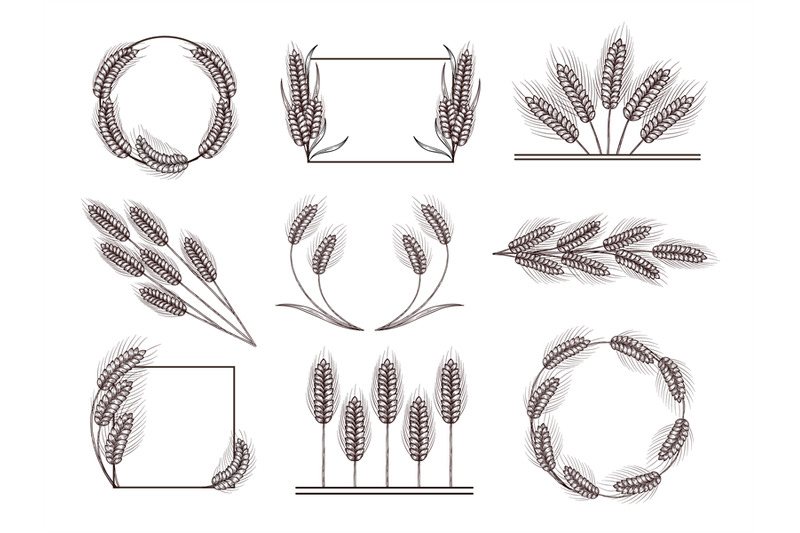 hand-drawn-wheat-decor-ear-of-wheat-frame-harvest-border-and-divider