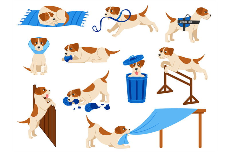 funny-cartoon-dog-scenes-cute-beagle-pup-plays-with-ball-service-dog