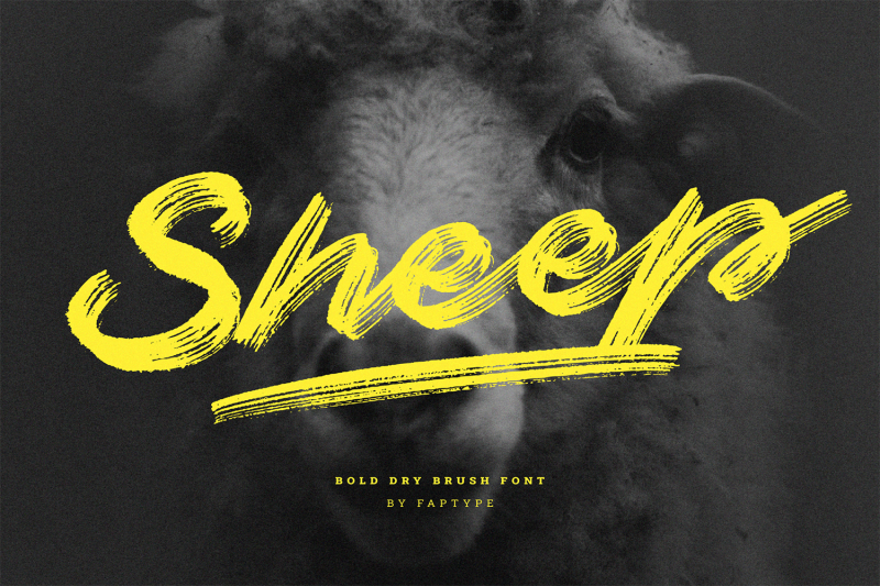 sheep-dry-brush-script-header-poster-font