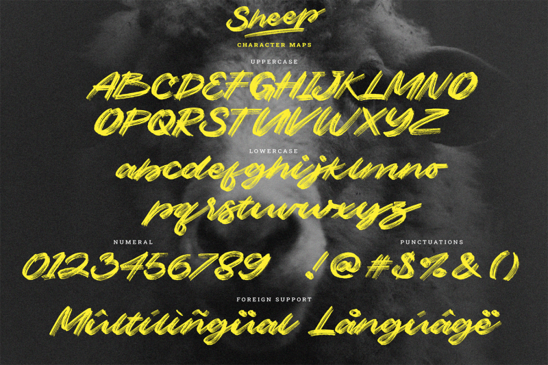 sheep-dry-brush-script-header-poster-font
