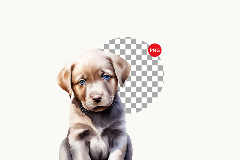 labrador-retriever-puppy-sublimation