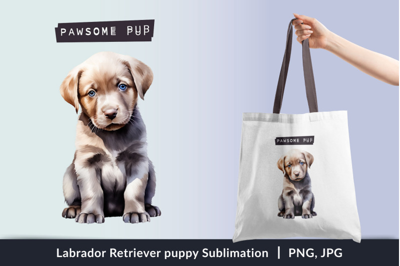 labrador-retriever-puppy-sublimation