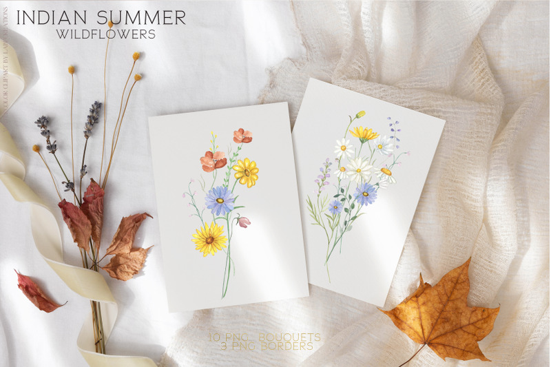 indian-summer-wildflower-watercolor